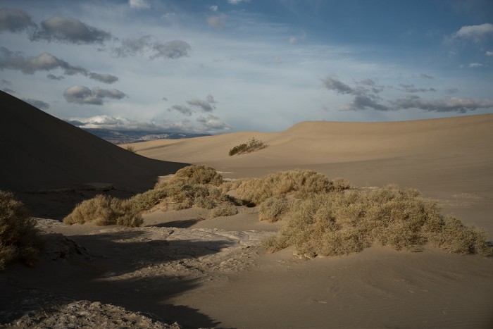 https://gazarphoto.com/files/gimgs/th-53_Dunes2-copy.jpg